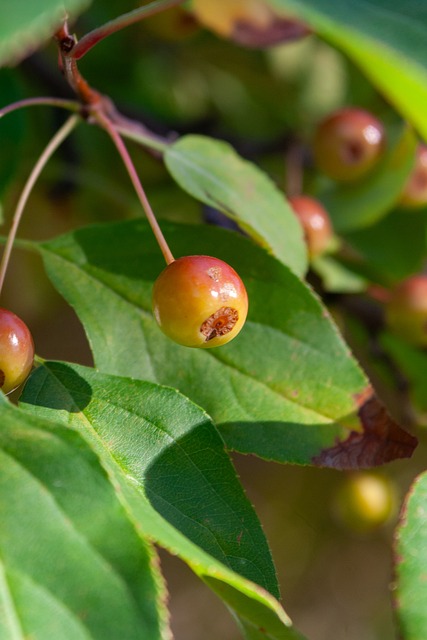 湖人主场每 湖人主场每