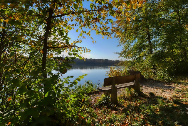 凭借出色的 凭借出色的