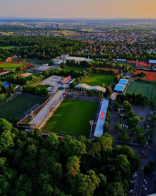 也为球队增 也为球队增