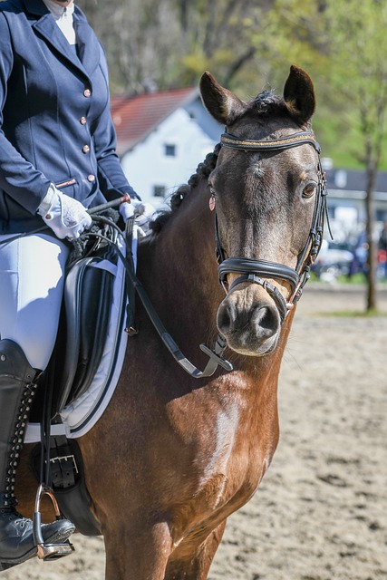 从近十年的 从近十年的